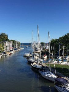 Read more about the article Oakville