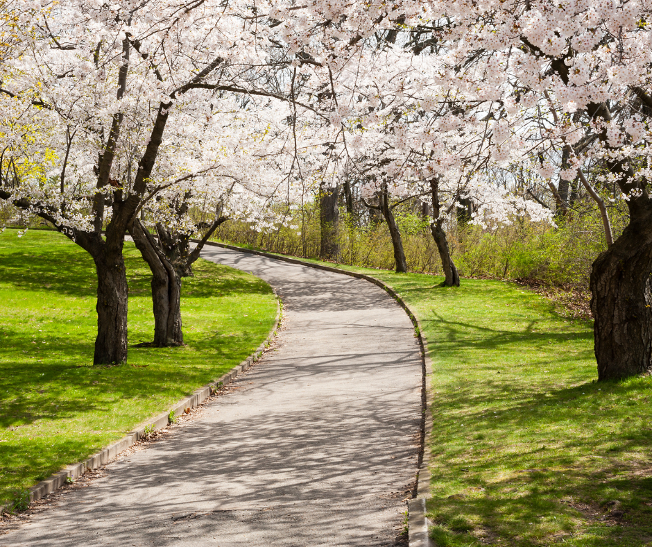 High Park Toronto