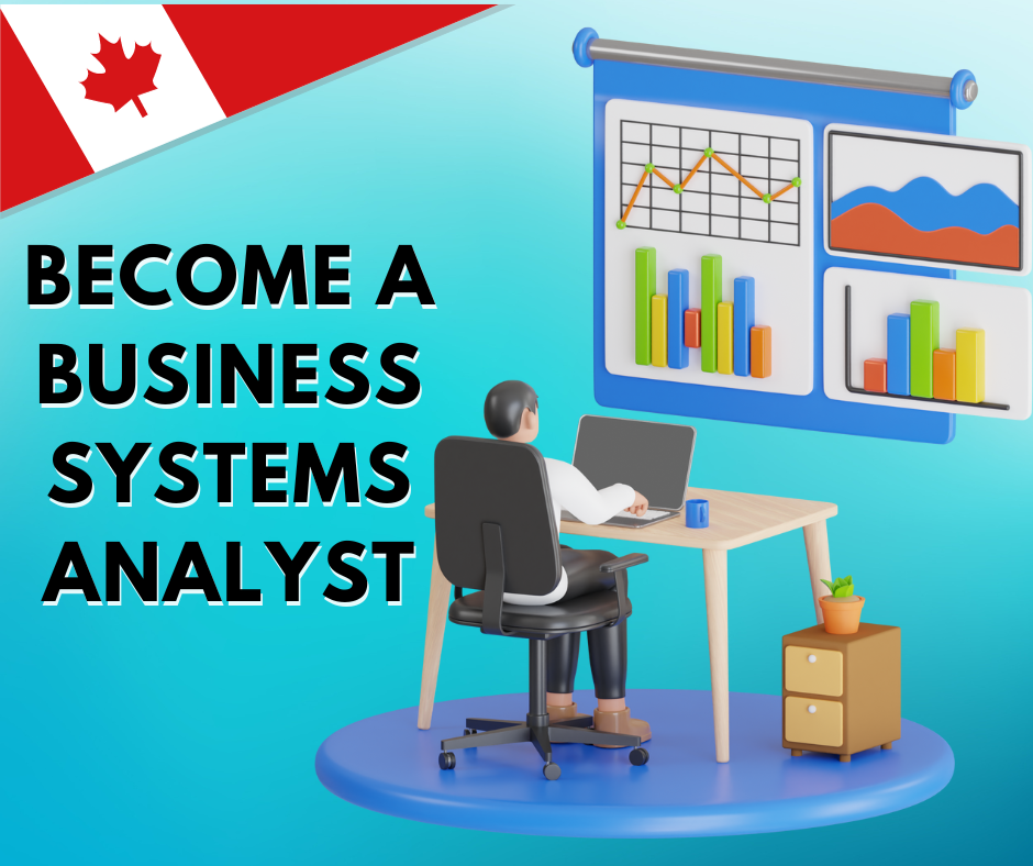 Business Systems Analyst